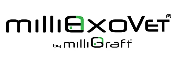 Dynamic Content Image